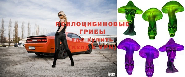 PSILOCYBIN Армянск