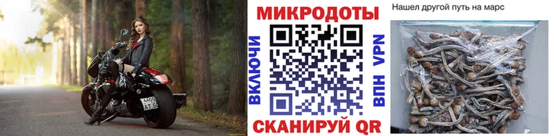 Галлюциногенные грибы MAGIC MUSHROOMS  купить  цена  Сердобск 
